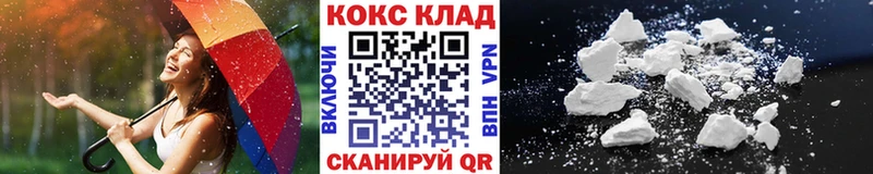 Купить где  Каменногорск  Кокаин FishScale 