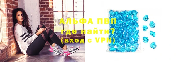 apvp Каменка