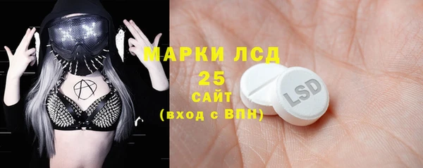 apvp Каменка