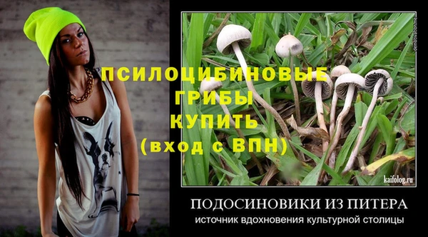 прущий лед Каменногорск