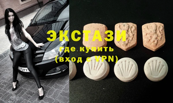 мдпв Гусев