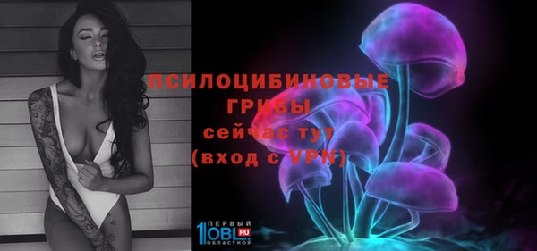 прущий лед Каменногорск