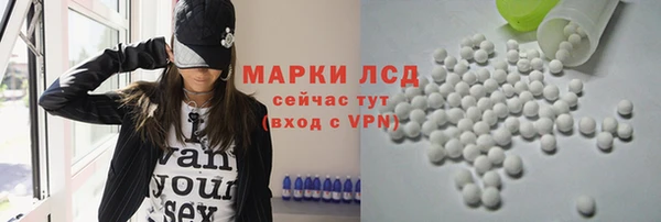 мдпв Гусев
