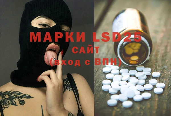 мдпв Гусев