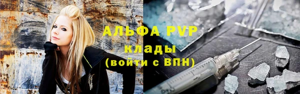 мдпв Гусев