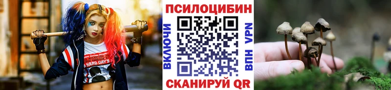 Псилоцибиновые грибы GOLDEN TEACHER  Купить где  Каменногорск 